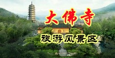 大草莓黄台中国浙江-新昌大佛寺旅游风景区